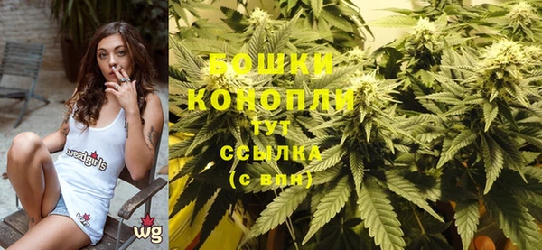 spice Кодинск