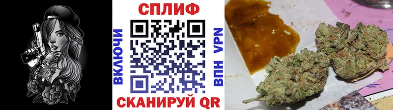 магазин продажи наркотиков  Навашино  Конопля Amnesia 